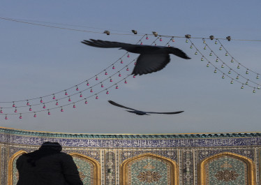 صورة المقالة